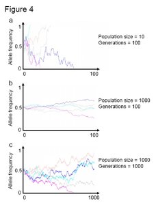 300px-Figure4 evolution.jpg