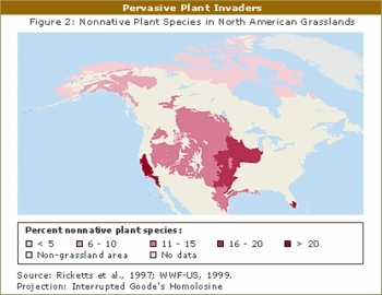 350px-GRASSLAND INVASIVE SPECIES.gif.jpeg