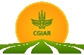CIGAR Consortium.png.jpeg