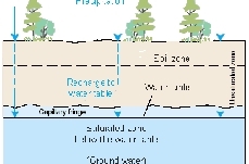 Infiltration and soil water storage