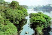 180px-Tainationalpark.jpg