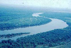 250px-Guapore River, Brazil.jpg