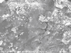 250px-Micrograph of copper flotation waste.gif