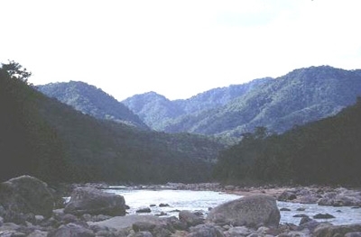 Bolivian-montane-dry-forest-photo.jpg