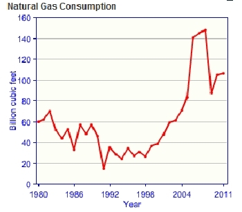 Brunei-natural-gas-consumption.gif.jpeg