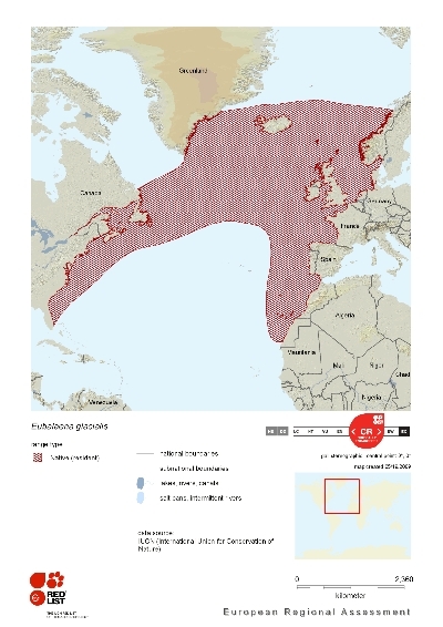 Distribution of North Atlantic Right Whale.png.jpeg