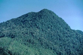 Cerro Verde, Guatemala.jpg