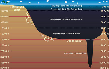 450px-Ocean zones.jpg