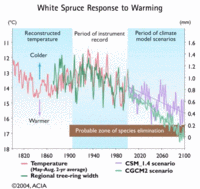 200px-White spruce response to warming graph.gif