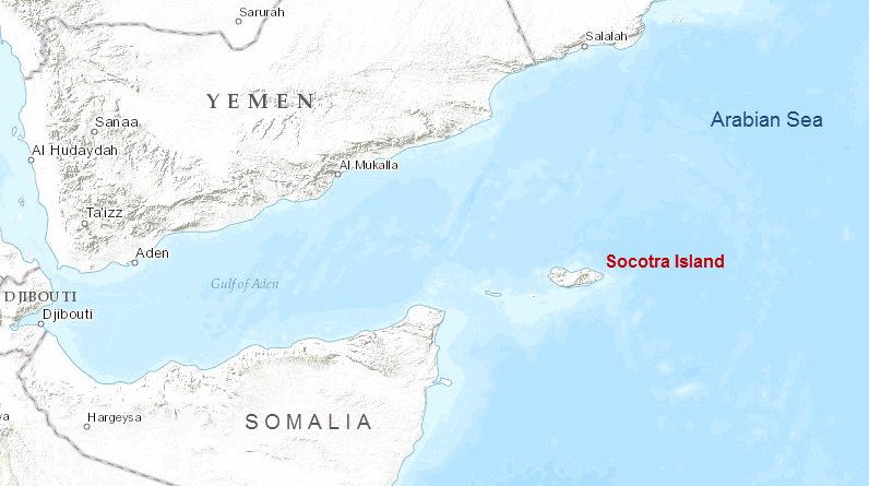 Socotra-island-xeric-shrub.gif