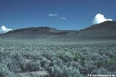 170px-Great Basin Desert.jpg