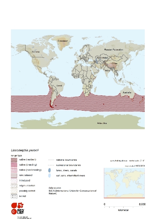 Distribution of southern right whale dolphin.png.jpeg