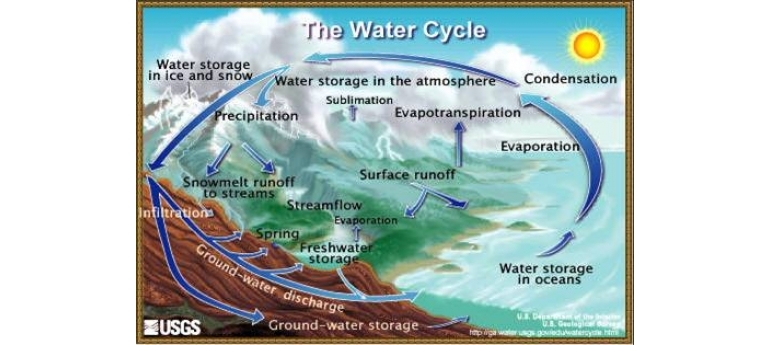 Water Cycle USGS.jpg