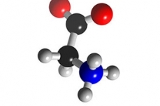 Amino acid