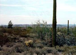 250px-Sonoran desert 3.jpg