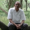 275px-Madhav Gadgil.jpg.jpeg