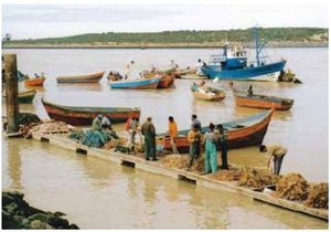 300px-Fishers-Sebou River, Morocco.JPG