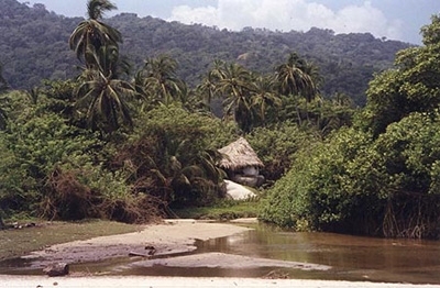 Tayrona-national-park--colombia-1.jpg