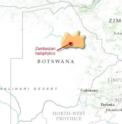 Botswana-zambezian-halophytics.png.jpeg