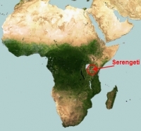 Serengeti-location.jpg