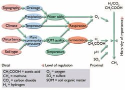 250px-Figure7.30 controls on methanogenesis.JPG