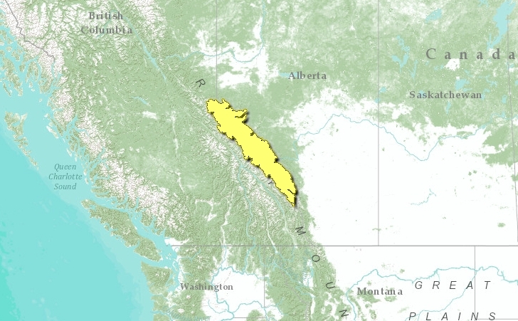 Alberta-mountain-forests-map.png.jpeg