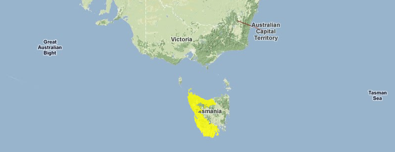 Tasmanian-temperate-rain-forests.png
