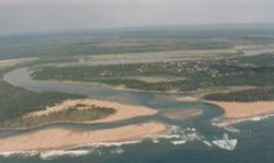 250px-A stlucia mouth1.jpg