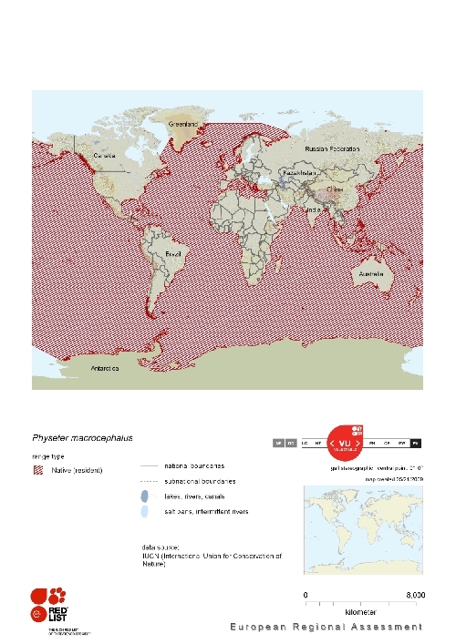 Distribution of sperm whale.png.jpeg