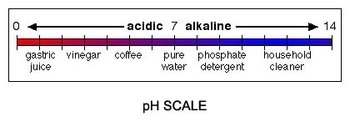 350px-AP ES pH scale.jpg.jpeg