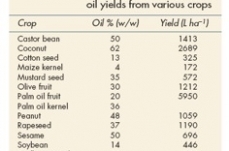 Turning Vegetable Oil into Biodiesel