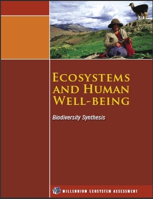 Ecosystems-and-human-well-being-biodervsity-synthesis 438x0 scale.PNG.jpeg