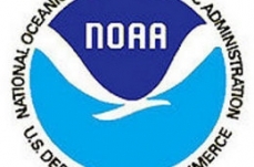 Comment on NOAA Scientific Integrity