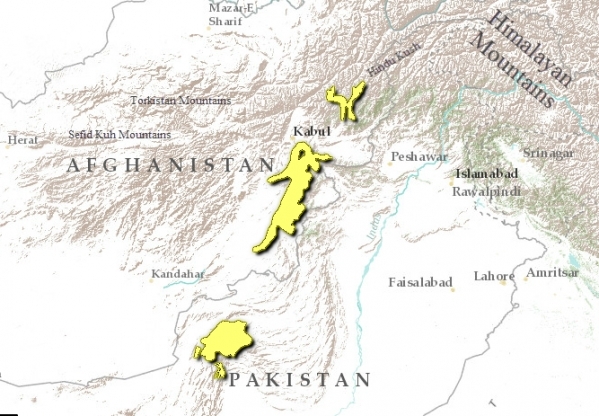 East-afghan-montane-coniferous-forest-map.png.jpeg