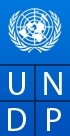 Logo-undp 438x0 scale.png.jpeg