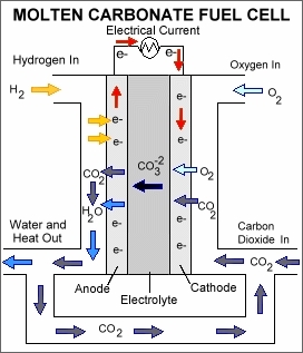 Fuel cell molten carbonate.gif.jpeg