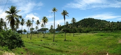 640px-dominica-panorama-5.jpg