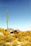 150px-Baja California Desert 1.jpg