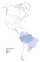 200px-Americas diversity of caecilians.gif