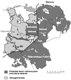 270px-Bialowieza forest map.jpg