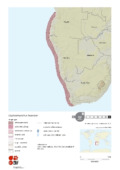 Distribution of Heavisides Dolphin.png.jpeg