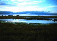 200px-Ponds in North Dakota.gif