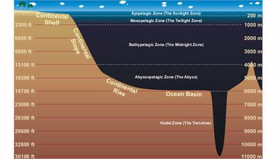 400px-Ocean layers.jpg