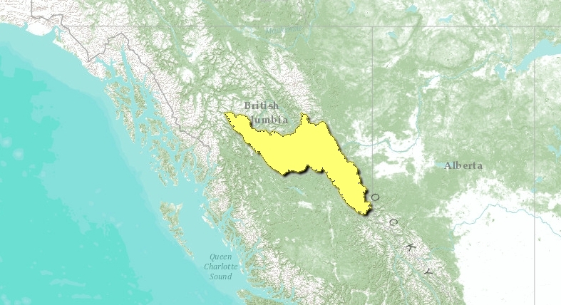 Central-british-columbia-mountain-forest-map.png.jpeg