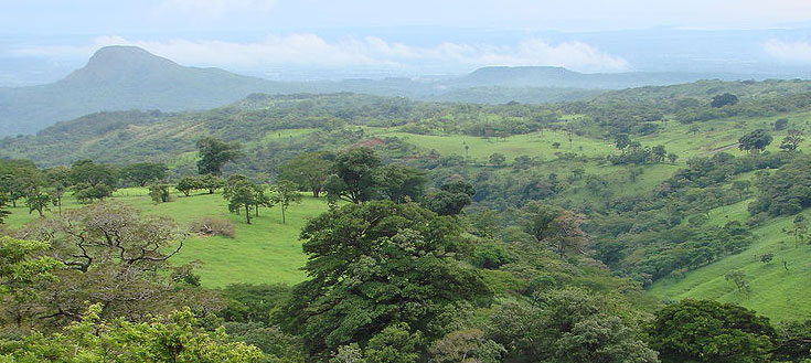 Guanacaste.jpg