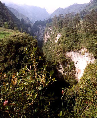 Ca--on-de-combeima--tolima--colombia.jpg