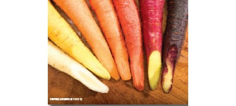 CarrotVarities USDA-StephenAusmus.jpg