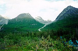 249px-Alaska-St. Elias Range Tundra.jpg