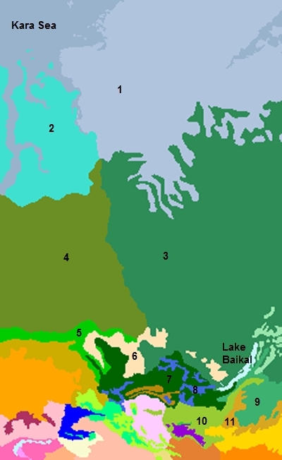 Yenisei-river-ecoregions.png.jpeg