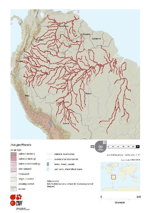 Amazon River Dolphin Distribution.png.jpeg